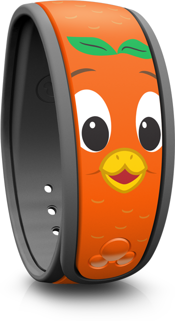 MagicBand_350x640_DPBOrgBrd2_B1_16704