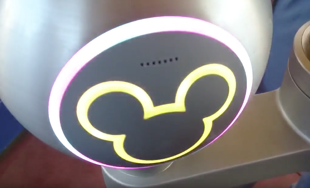 Video of the 2016 Flower & Garden MagicBand lights and sounds