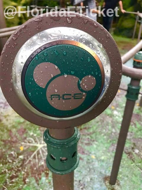 MagicBand touch points in Pandora: The World of Avatar are cleverly disguised