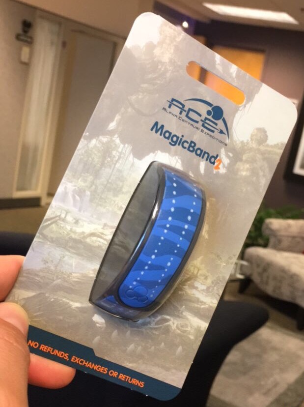 An Open Edition Na’vi Avatar Skin MagicBand is coming
