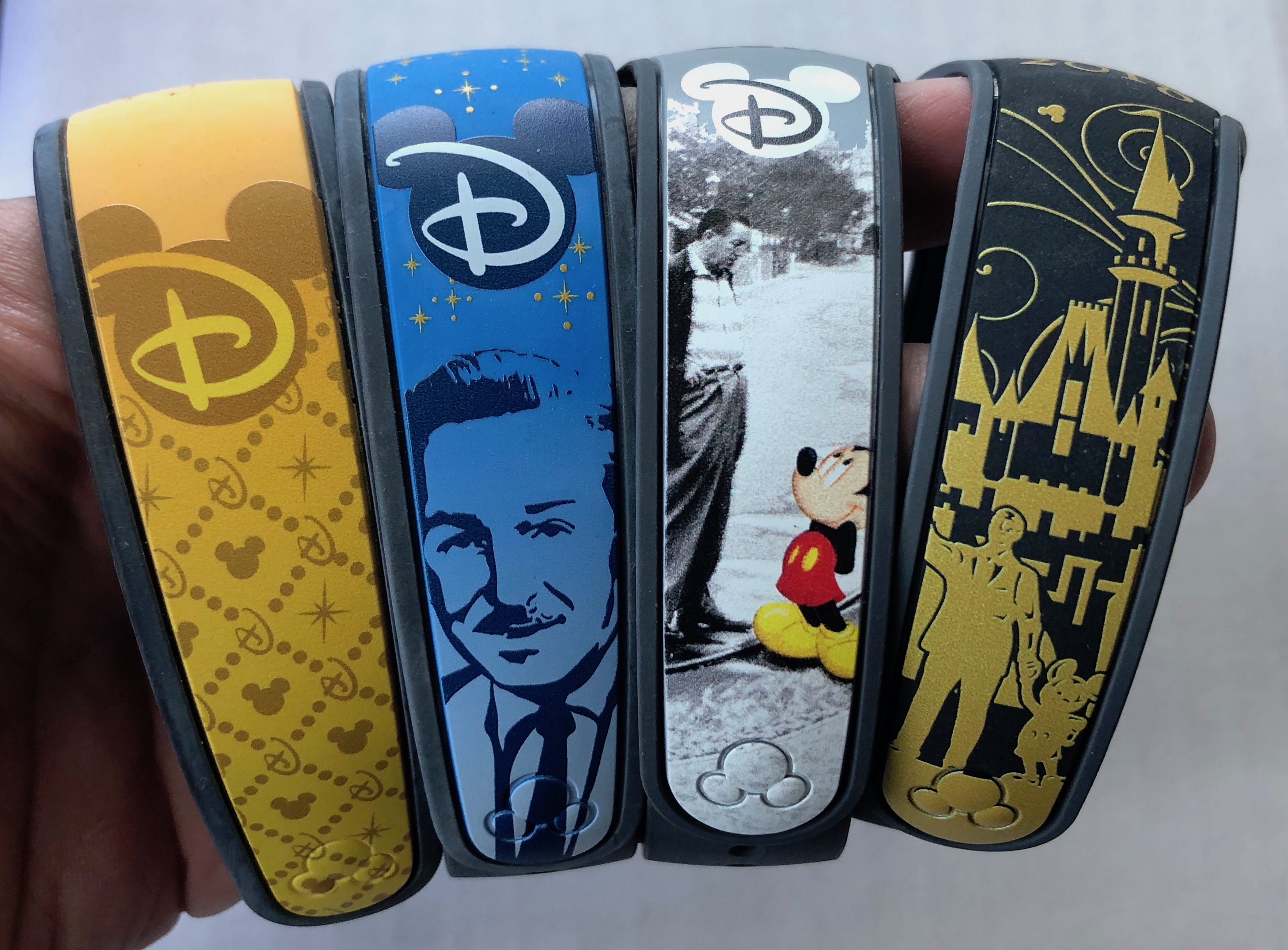 2018 VIP Meeting Planner MagicBand revealed